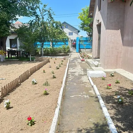 Mica Casuta בית נופש *
